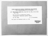 Image Associated With the Occurence